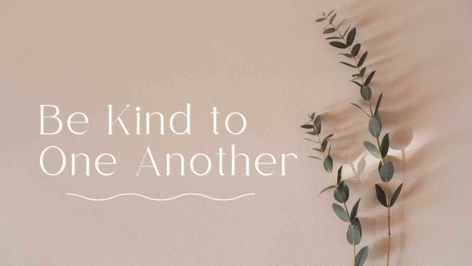 Kindness Book Banner