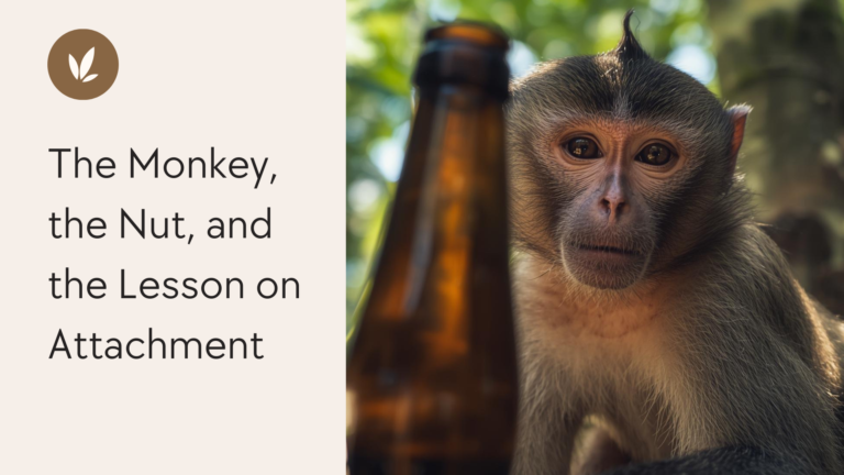 The Monkey, the Nut, and the Lesson on Attachment