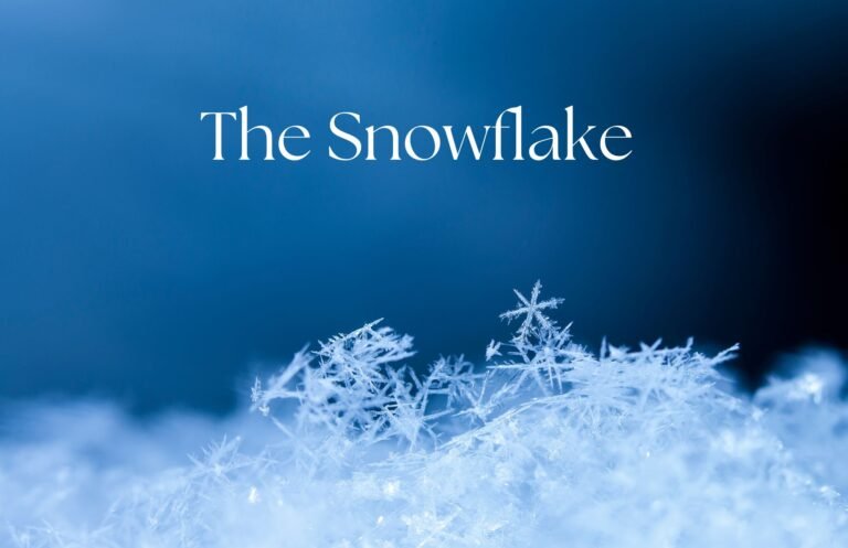 The Snowflake